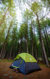 Camping_in_the_forest_-_Kumrat_Valley