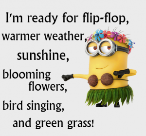 better-weather-minion